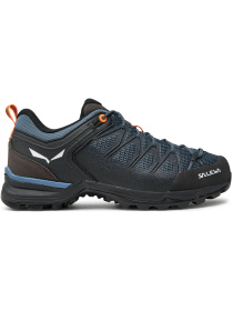 Кроссовки Salewa Mtn Trainer Lite модель 100029852 Фото