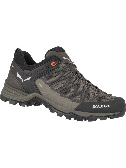 Кроссовки Salewa Mtn Trainer Lite Gtx модель 100030817 Фото