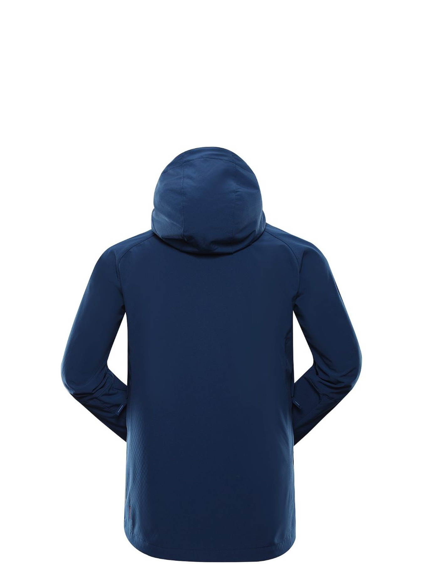Куртки та дублянки ALPINE PRO Hoor модель 100064685 Фото
