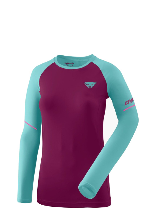 Худі та світшоти DYNAFIT Alpine Pro модель 100068799 Фото