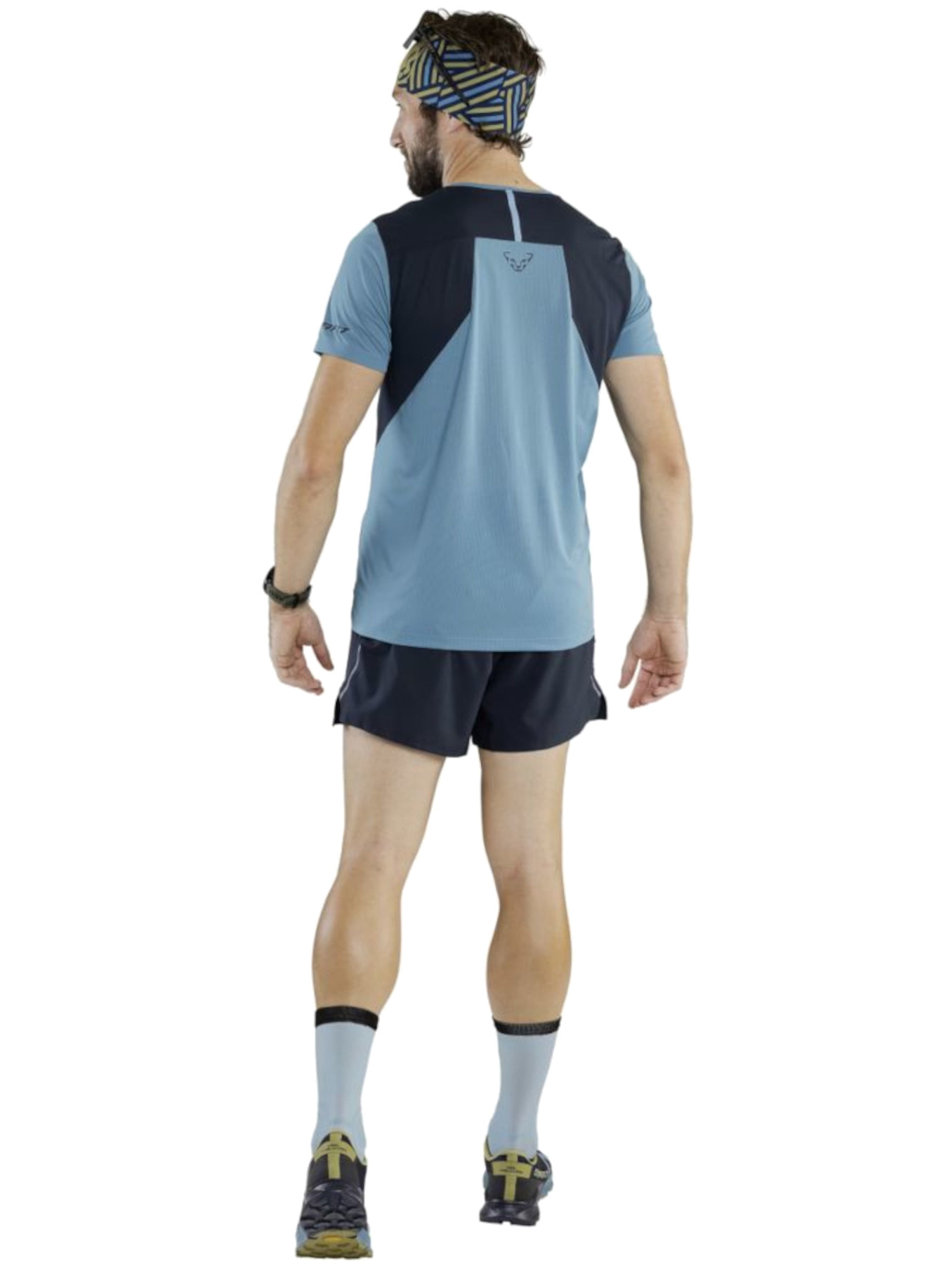 Футболки і поло DYNAFIT Sky Shirt модель 100009678 Футболки і поло DYNAFIT Sky Shirt модель 100009678 Фото