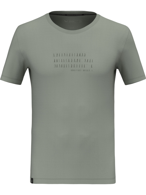 Футболки і поло Salewa Eagle Poem Dry T-Shirt модель 100073211 Фото