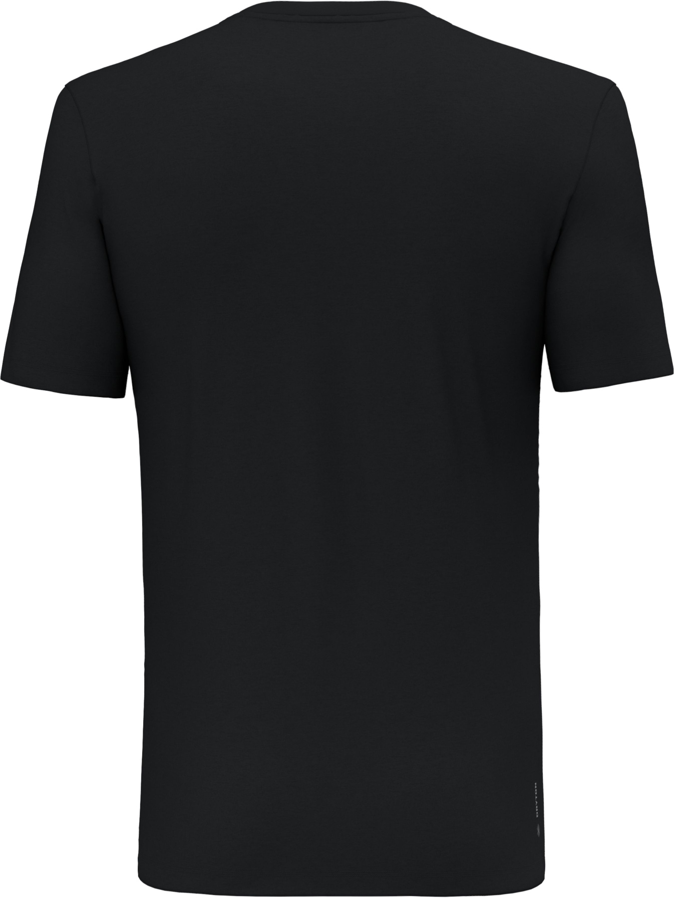 Футболки и поло Salewa Pure Eagle Frame Dry T-shirt модель 100073160 Футболки и поло Salewa Pure Eagle Frame Dry T-shirt модель 100073160 Фото