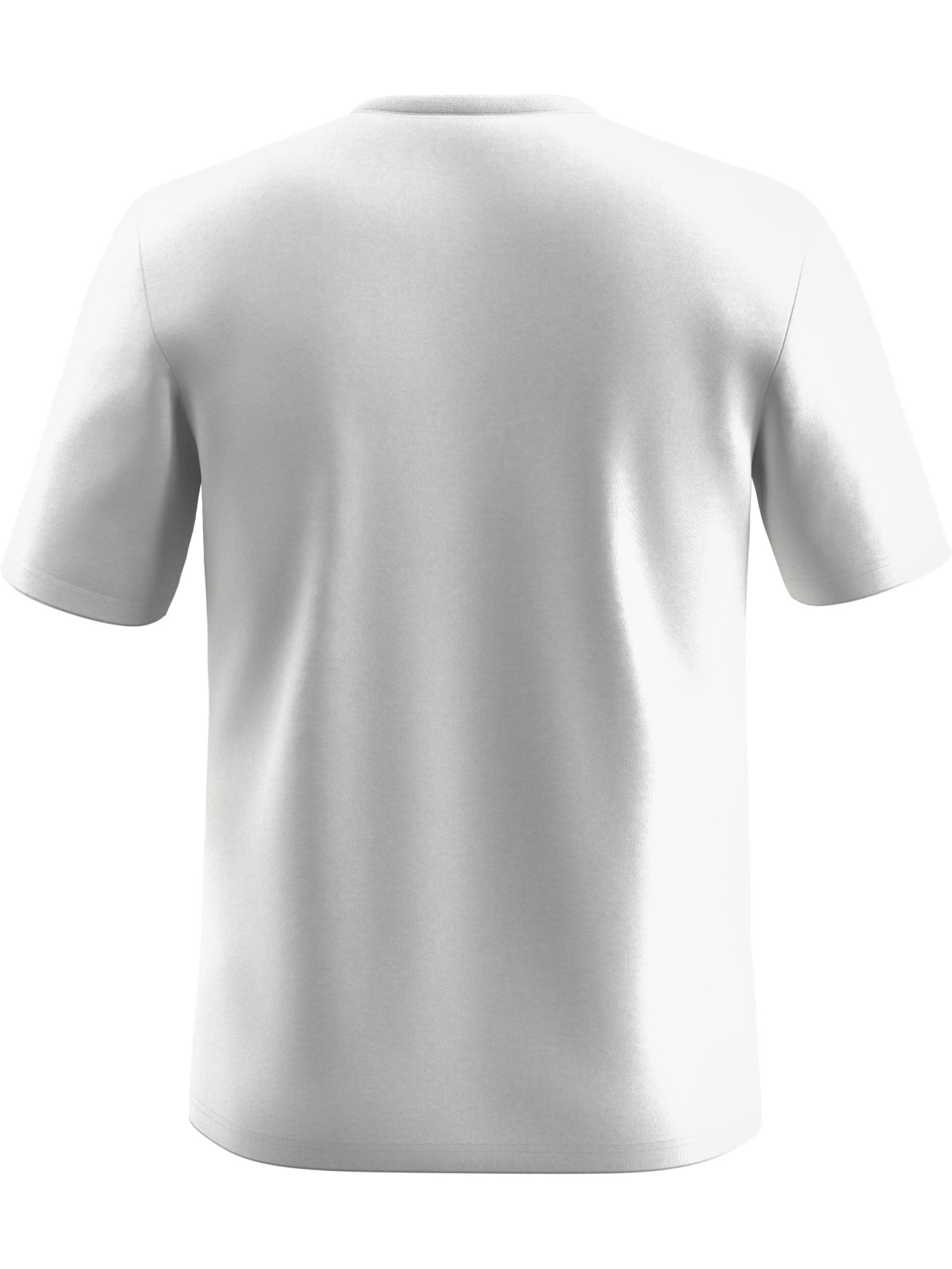 Футболки и поло Salewa Solidlogo Dri-Release Tee модель 100065735 Фото