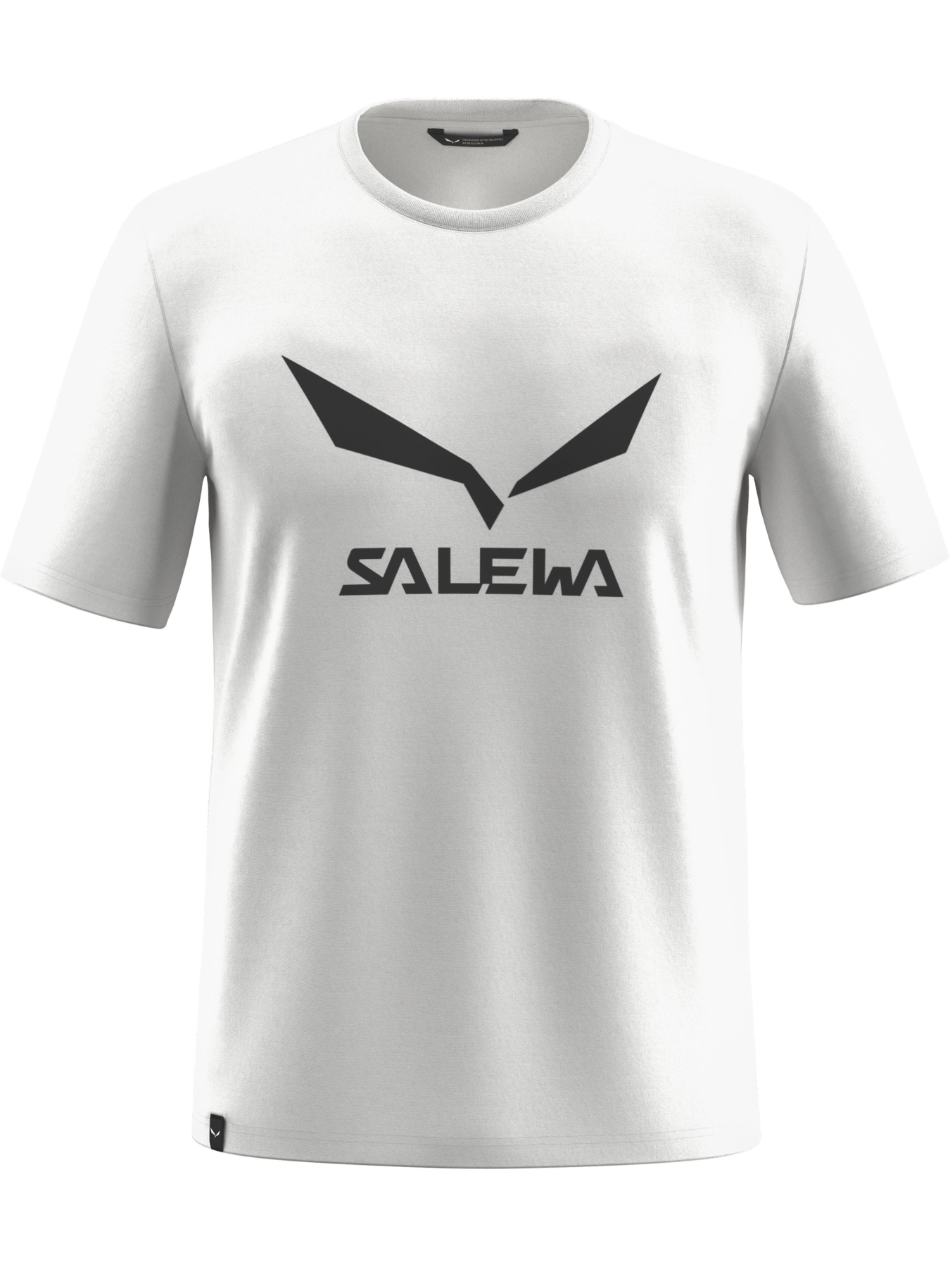Футболки и поло Salewa Solidlogo Dri-Release Tee модель 100065735 Фото