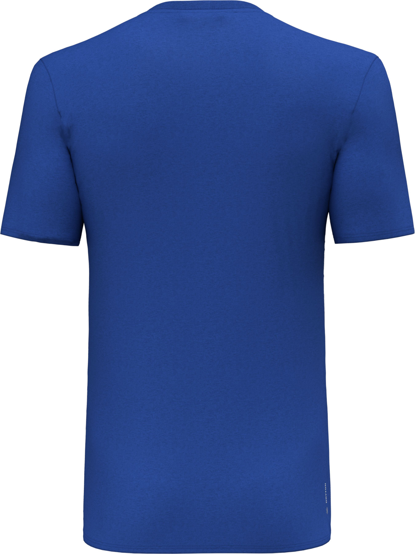 Футболки и поло Salewa Solidlogo Dri-Release Tee модель 100068607 Футболки и поло Salewa Solidlogo Dri-Release Tee модель 100068607 Фото
