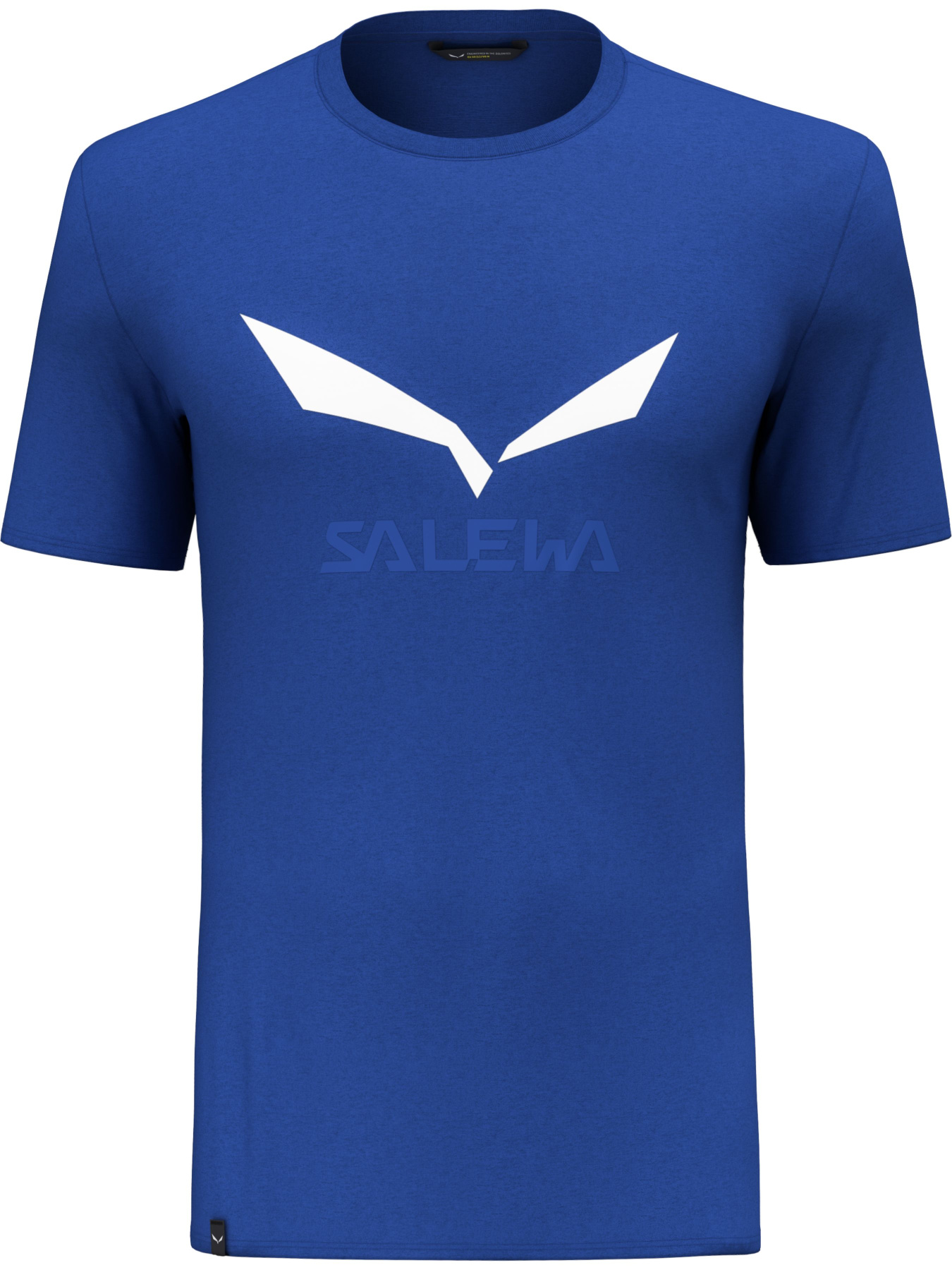 Футболки и поло Salewa Solidlogo Dri-Release Tee модель 100068607 Футболки и поло Salewa Solidlogo Dri-Release Tee модель 100068607 Фото