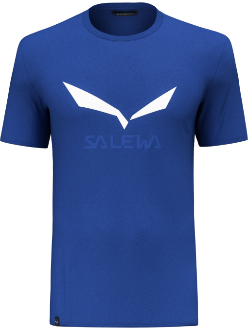 Футболки і поло Salewa Solidlogo Dri-Release Tee модель 100068607 Фото