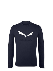 Худи и свитшоты Salewa Solidlogo Dry Tee модель 100072416 Фото
