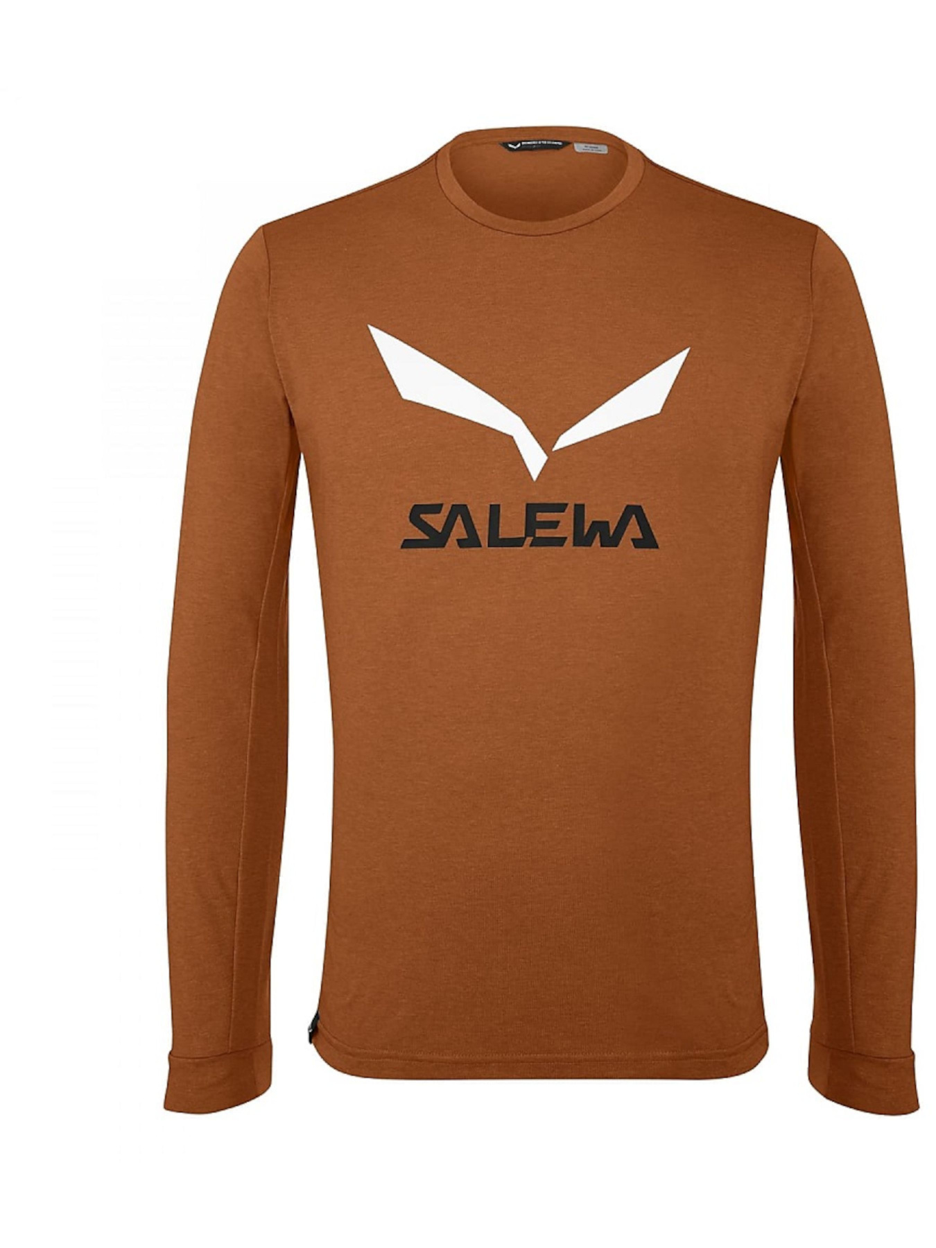 Худи и свитшоты Salewa Solidlogo Dry Tee модель 100063903 Фото