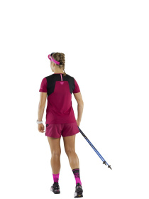 Шорти DYNAFIT Sky Shorts модель 100023426 Фото