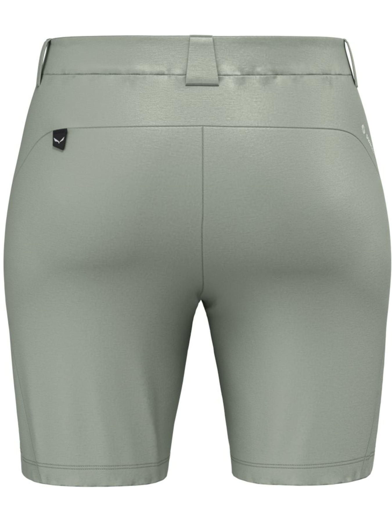 Шорты Salewa Talvena Dst Shorts модель 100073308 Шорты Salewa Talvena Dst Shorts модель 100073308 Фото