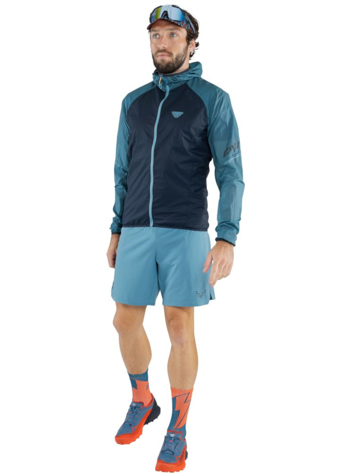 Шорты DYNAFIT Alpine Shorts модель 100064899 Фото