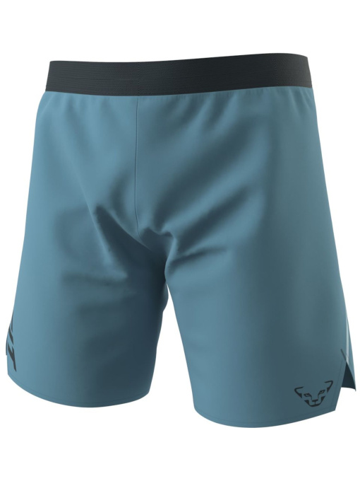 Шорти DYNAFIT Alpine Shorts модель 100064899 Фото