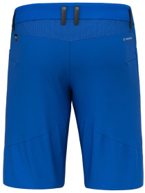 Шорты Salewa Agner Dst Shorts модель 100068642 Фото