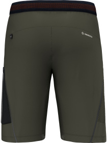 Шорты Salewa Pedroc 3 Dst Cargo Shorts модель 100073321 Фото