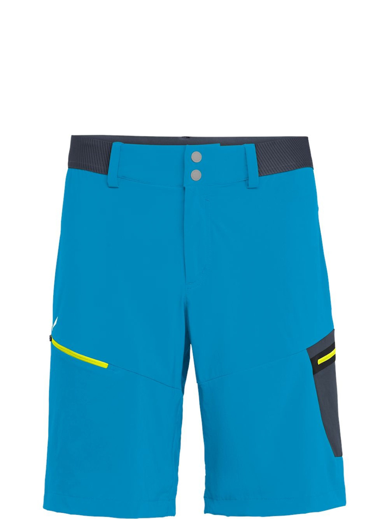 Шорты Salewa Pedroc Cargo 2 Dst Shorts модель 100058193 Шорты Salewa Pedroc Cargo 2 Dst Shorts модель 100058193 Фото
