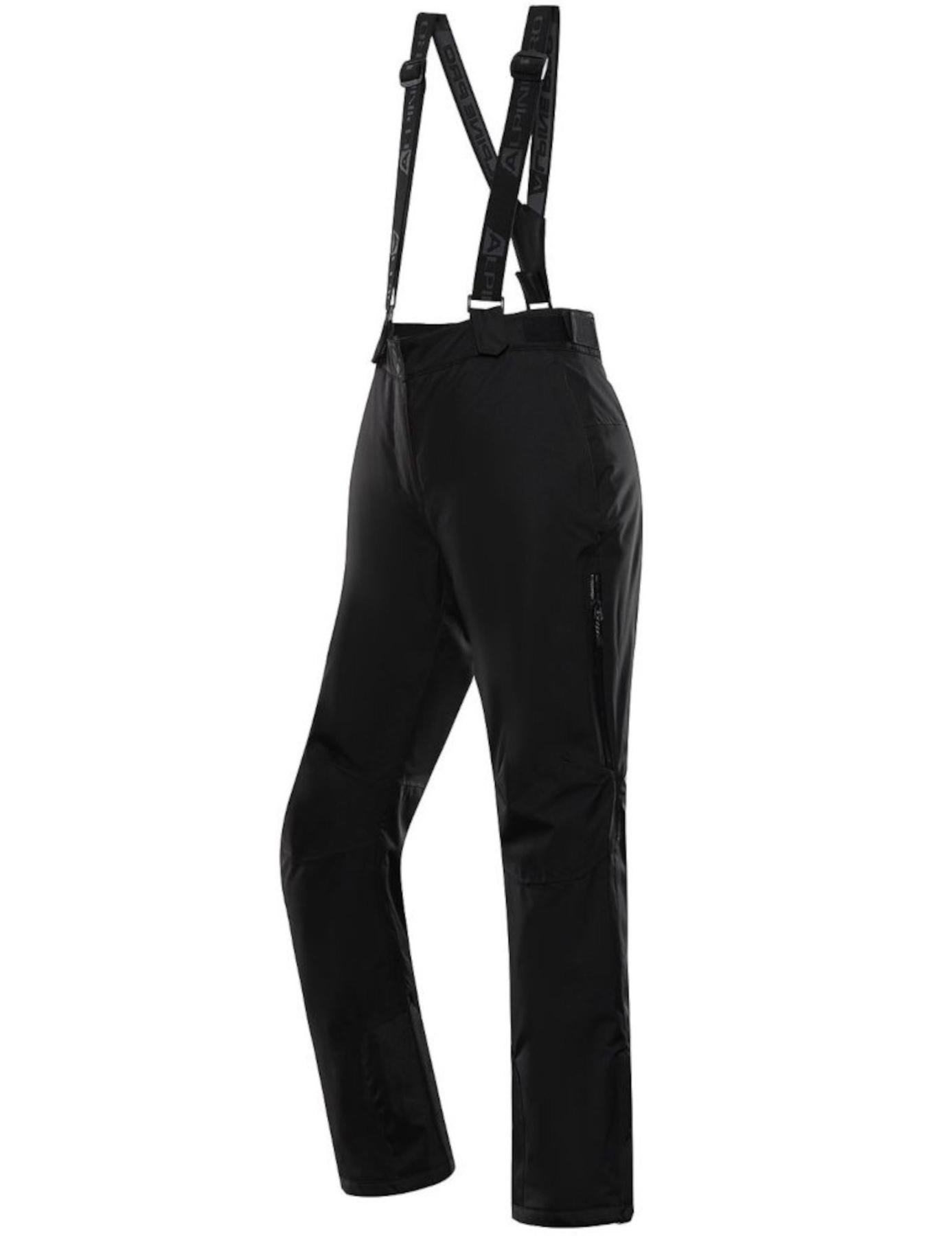 Штани ALPINE PRO Lermona модель 100064507 Штани ALPINE PRO Lermona модель 100064507 Фото