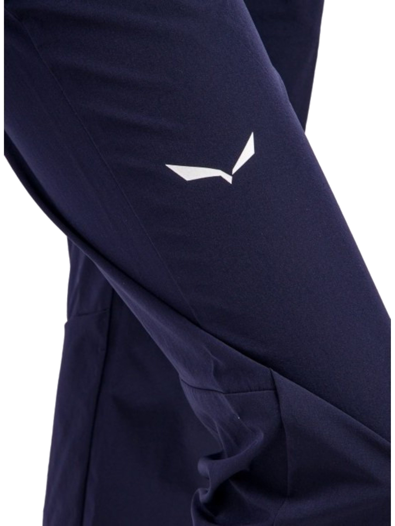 Брюки Salewa Talvena 2 Dst Pnt модель 100072088 Фото
