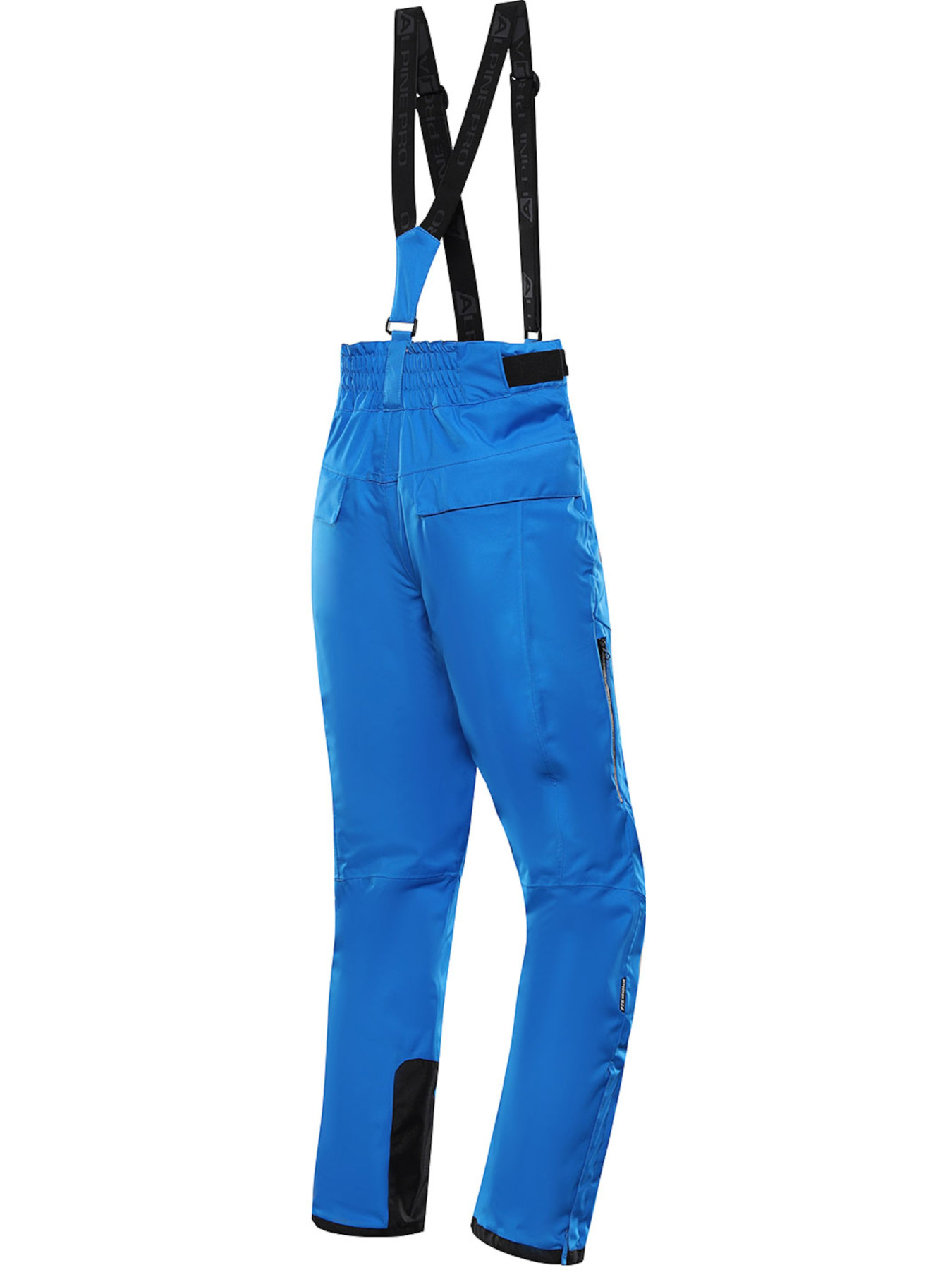 Брюки ALPINE PRO Lermon модель 100064509 Фото
