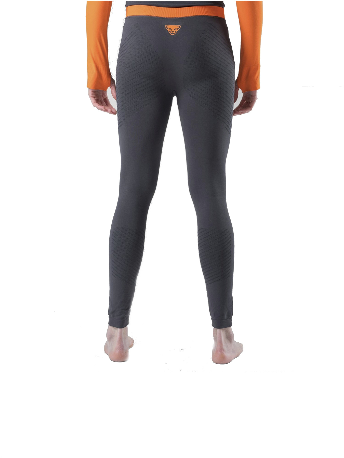 Штани DYNAFIT FT Dryarn Warm Tight модель 100030659 Штани DYNAFIT FT Dryarn Warm Tight модель 100030659 Фото