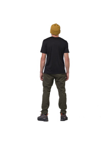Брюки Salewa Fanes Hemp Pnt модель 100006501 Фото