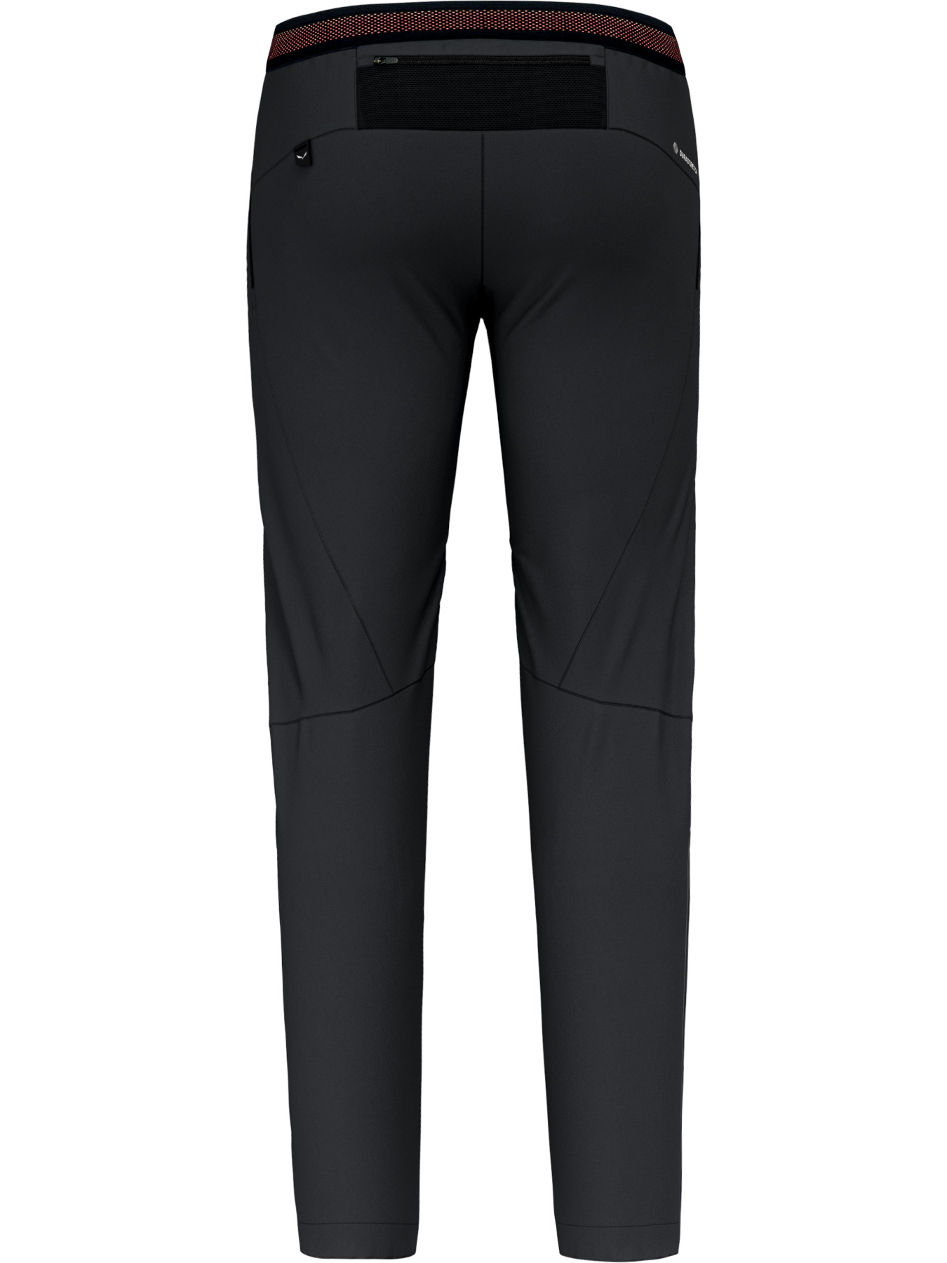 Брюки Salewa Pedroc 4 Dst Regular Pnt модель 100073536 Фото