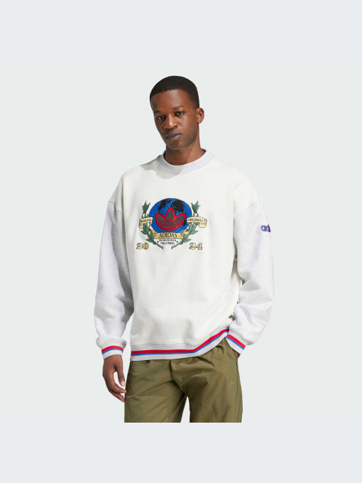 Худи и свитшоты Adidas Graphics модель IX6755 Фото