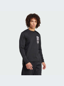 Худи и свитшоты Adidas модель IX5613 Фото