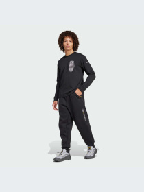 Худи и свитшоты Adidas модель IX5613 Фото