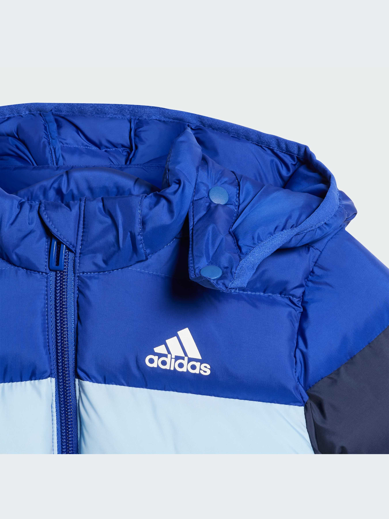 Куртки и дубленки Adidas модель IV9507 Фото