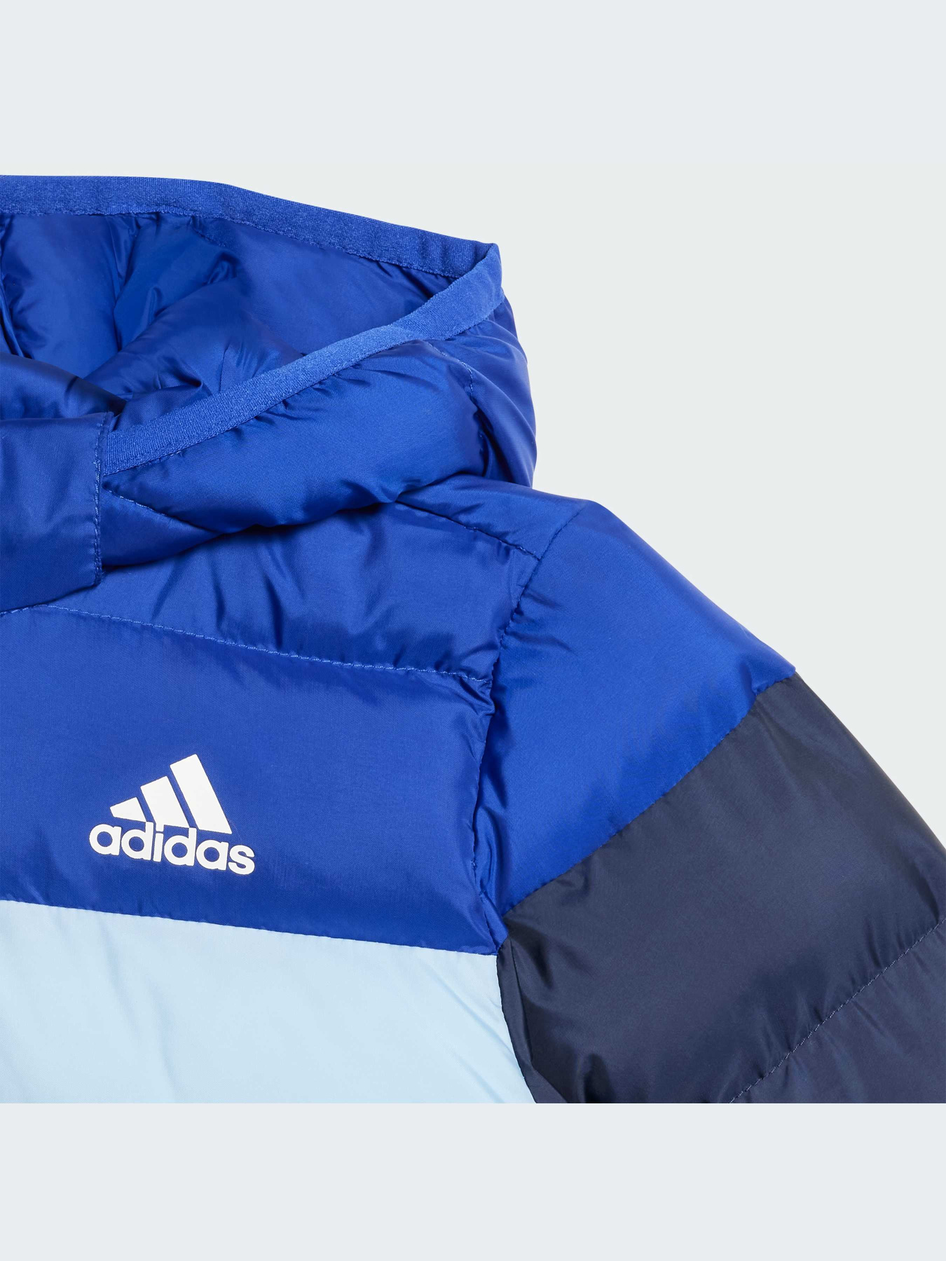 Куртки и дубленки Adidas модель IV9507 Фото