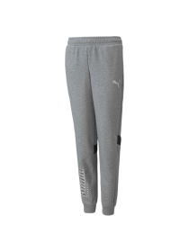 Штани PUMA Active Sport Sweatpants модель 589207 Фото