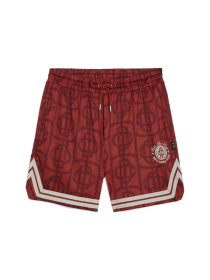 Шорты PUMA x Ptc Aop Mesh Shorts модель 627440 Фото
