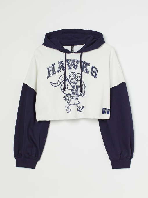 Худи и свитшоты H&M модель 74029 Фото
