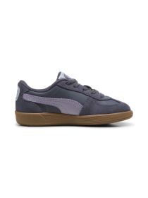 Кеды PUMA Palermo Fc Ps модель 397912 Фото