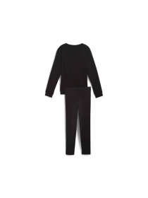 Костюмы PUMA Class Act Crew & Legging Set модель 683322 Фото