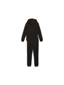 Костюмы PUMA Squad Fz Sweat Suit Fl модель 683318 Фото
