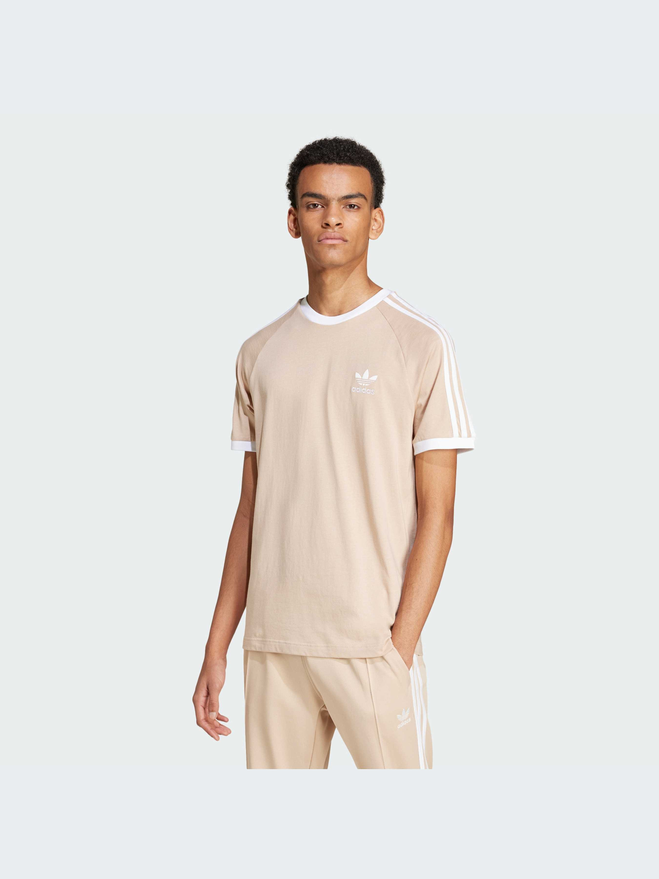 Футболки и поло Adidas Adicolor модель IZ2366 Футболки и поло Adidas Adicolor модель IZ2366 Фото
