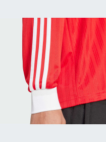 Худи и свитшоты Adidas Adicolor модель IX5226 Фото