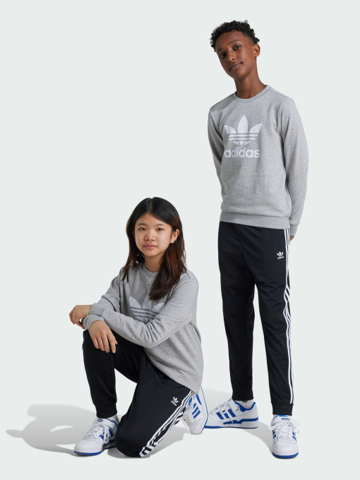 Штани Adidas Adicolor модель IX7630 Фото