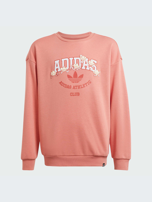 Худи и свитшоты Adidas модель IN4329 Фото