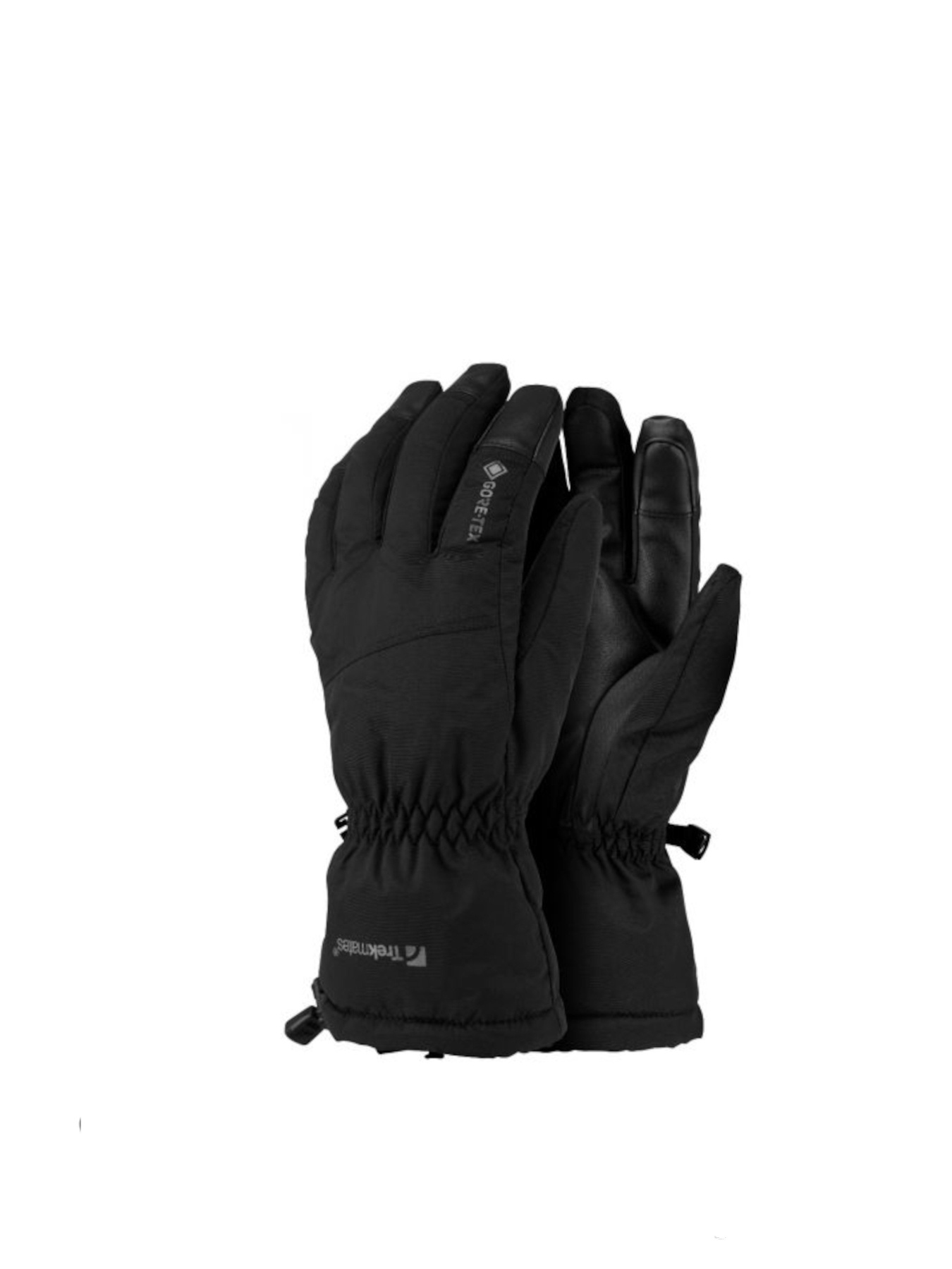 Перчатки и варежки Trekmates Chamonix Gtx модель 100061883 Перчатки и варежки Trekmates Chamonix Gtx модель 100061883 Фото
