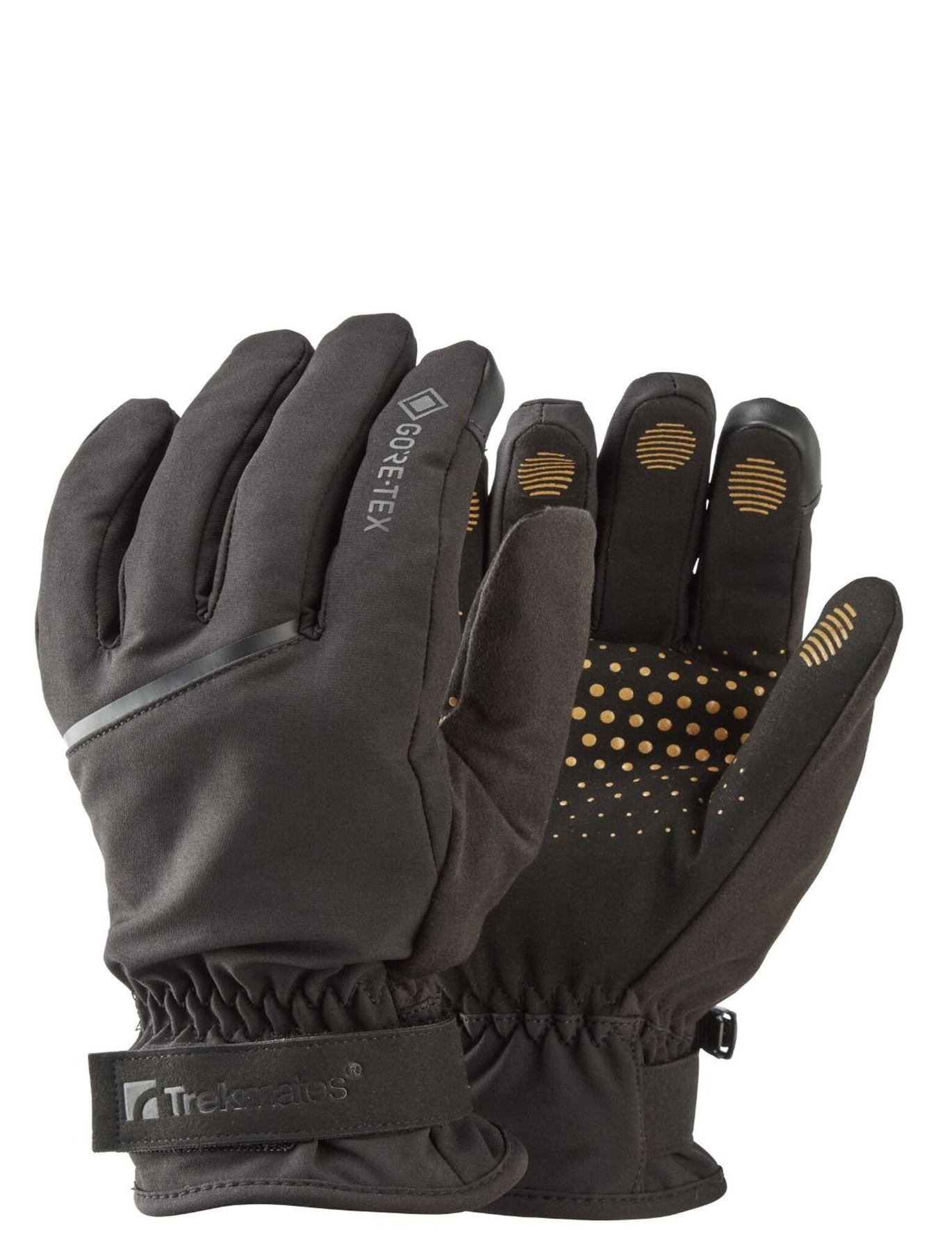 Перчатки и варежки Trekmates Friktion Gore-Tex Grip модель 100066106 Фото