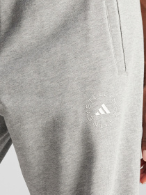 Брюки Adidas модель IW6335 Фото
