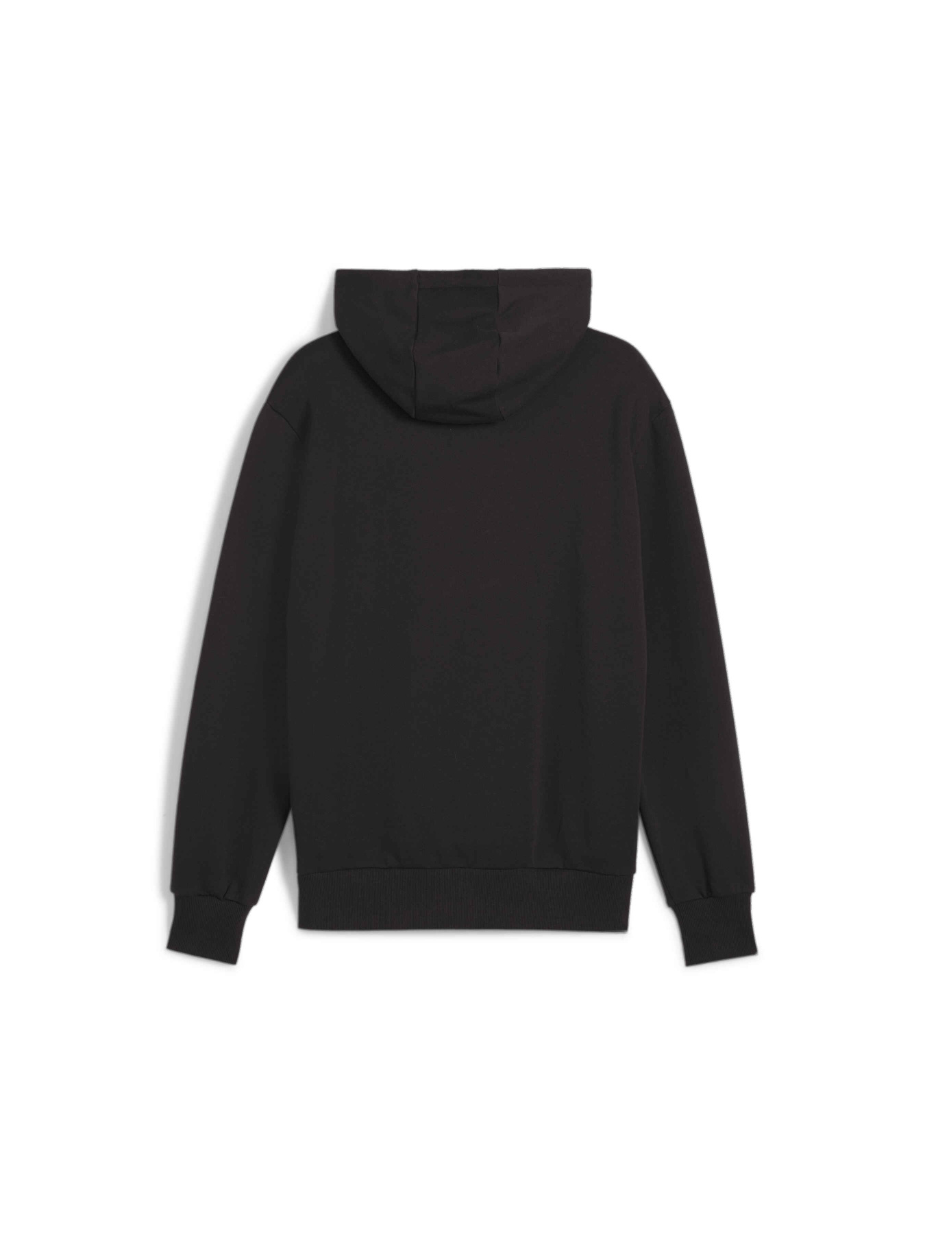 Худі та світшоти PUMA Posterize 2.0 Hoodie модель 625248 Худі та світшоти PUMA Posterize 2.0 Hoodie модель 625248 Фото