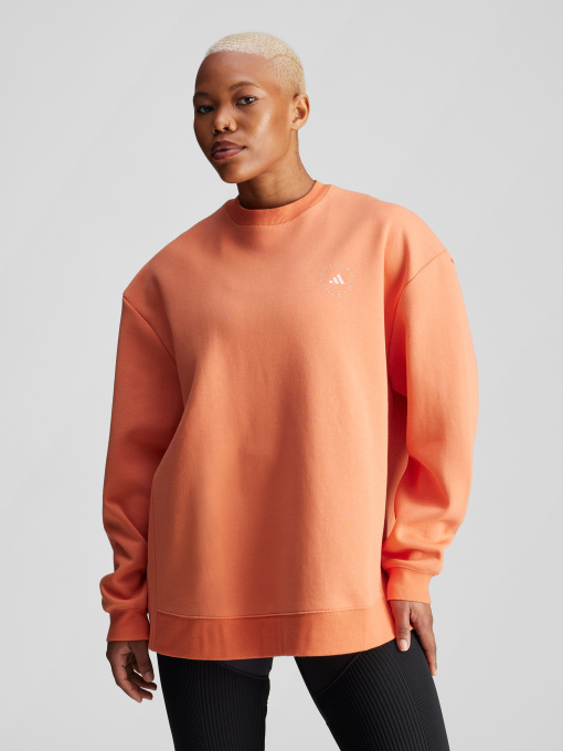 Худи и свитшоты Adidas модель IW9853 Фото