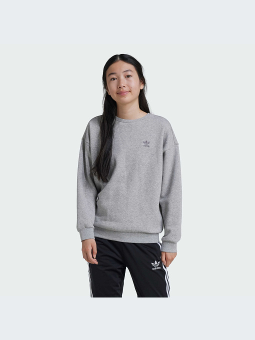 Худи и свитшоты Adidas модель IZ4813 Фото