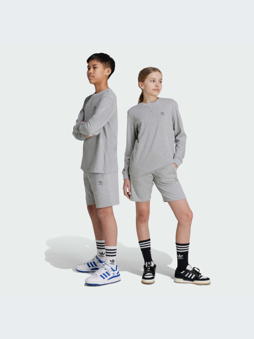 Шорты Adidas модель IX5237 Фото