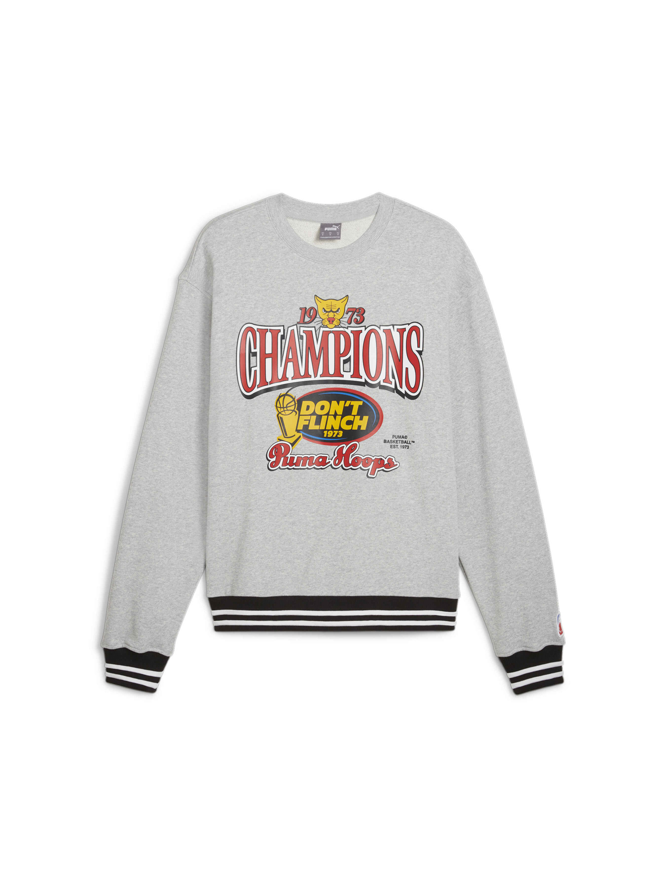 Худи и свитшоты PUMA Champs Crew модель 627209 Фото